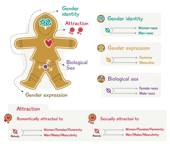 Gender Identity And Expression Irespectmyself